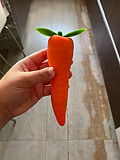 Imagen en comentario de ZANNA, el vibra-veggie de amantis más puntero