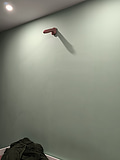 Imagen en comentario de SEDAN – Dildo Realista de Tacto Abundante